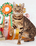 Клуб любителей кошек 'Москва'